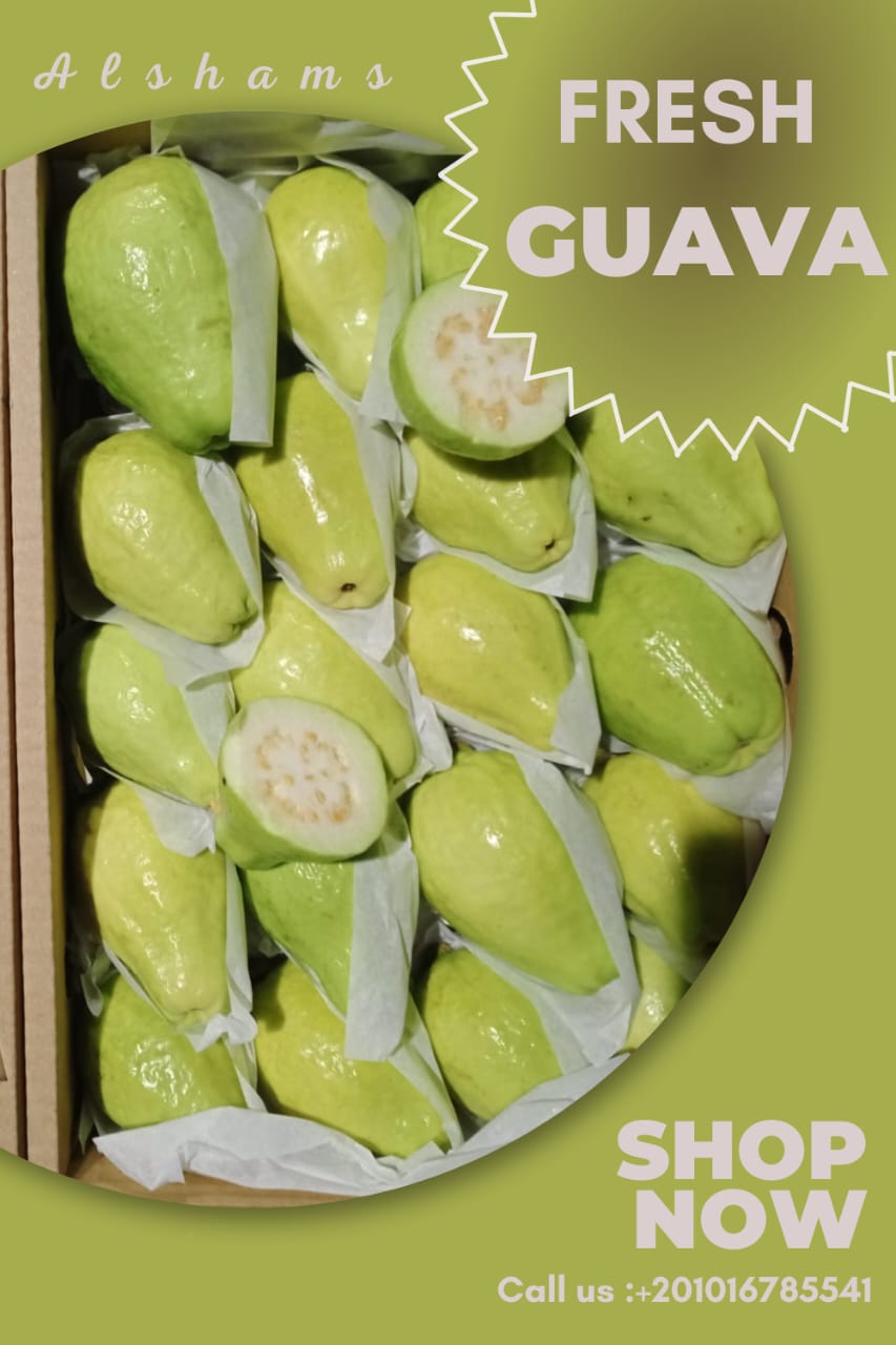 fresh guava
